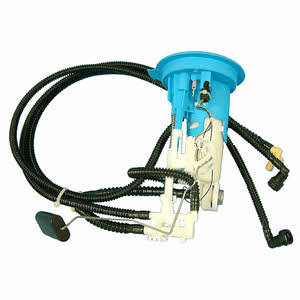 Delphi FT10014-12B1 Fuel pump FT1001412B1: Buy near me in Poland at 2407.PL - Good price!