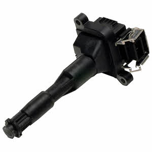 Delphi GN10016-11B1 Ignition coil GN1001611B1: Buy near me in Poland at 2407.PL - Good price!