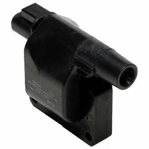 Delphi GN10024-11B1 Ignition coil GN1002411B1: Buy near me in Poland at 2407.PL - Good price!
