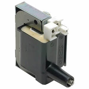 Delphi GN10068-11B1 Ignition coil GN1006811B1: Buy near me in Poland at 2407.PL - Good price!