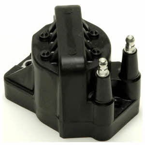 Delphi GN10123-11B1 Ignition coil GN1012311B1: Buy near me in Poland at 2407.PL - Good price!