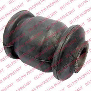 Delphi TD717W Control Arm-/Trailing Arm Bush TD717W: Buy near me at 2407.PL in Poland at an Affordable price!