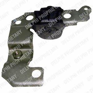 Delphi TD423W Control Arm-/Trailing Arm Bush TD423W: Buy near me in Poland at 2407.PL - Good price!