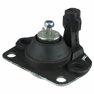 Delphi TEM038 Engine mount right TEM038: Buy near me in Poland at 2407.PL - Good price!