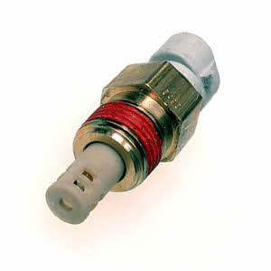 Delphi TS10080 Air temperature sensor TS10080: Buy near me in Poland at 2407.PL - Good price!