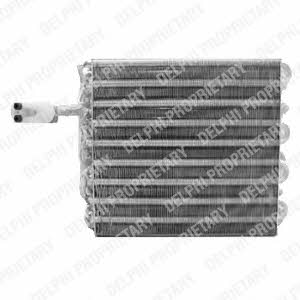 Delphi TSP0525102 Air conditioner evaporator TSP0525102: Buy near me in Poland at 2407.PL - Good price!