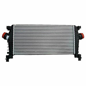 Delphi TSP0755004 Intercooler, charger TSP0755004: Buy near me in Poland at 2407.PL - Good price!