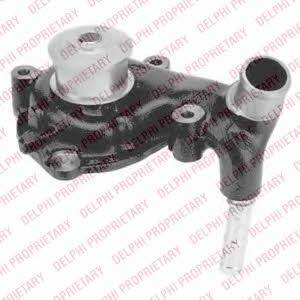Delphi WP1771 Water pump WP1771: Buy near me at 2407.PL in Poland at an Affordable price!