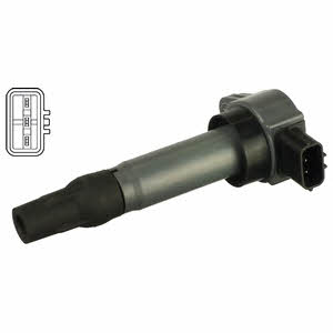 Delphi GN1060512B1 Ignition coil GN1060512B1: Buy near me in Poland at 2407.PL - Good price!