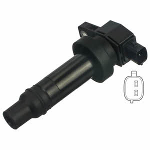 Delphi GN10590-12B1 Ignition coil GN1059012B1: Buy near me in Poland at 2407.PL - Good price!