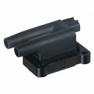 Delphi GN10396-12B1 Ignition coil GN1039612B1: Buy near me in Poland at 2407.PL - Good price!