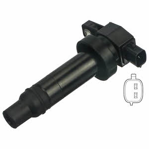 Delphi GN10601-12B1 Ignition coil GN1060112B1: Buy near me in Poland at 2407.PL - Good price!