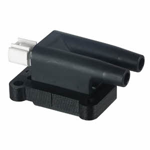 Delphi GN10397-12B1 Ignition coil GN1039712B1: Buy near me in Poland at 2407.PL - Good price!