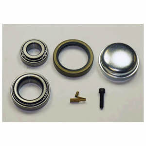 Delphi BK1632 Wheel bearing kit BK1632: Buy near me at 2407.PL in Poland at an Affordable price!
