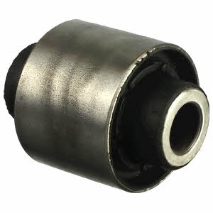 Delphi TD1058W Rear axle bush TD1058W: Buy near me at 2407.PL in Poland at an Affordable price!