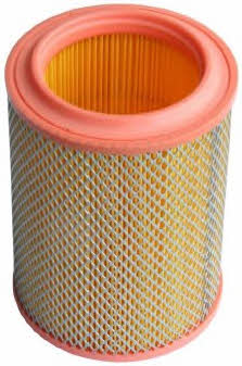 Denckermann A141199 Air filter A141199: Buy near me at 2407.PL in Poland at an Affordable price!