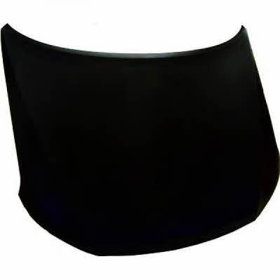 Diederichs 6242000 Hood 6242000: Buy near me in Poland at 2407.PL - Good price!