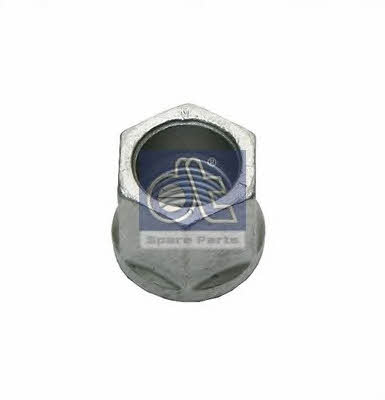 DT Spare Parts 1.25433 Nut, spring clamp 125433: Buy near me in Poland at 2407.PL - Good price!