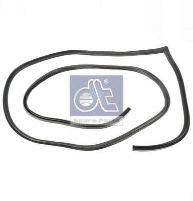 DT Spare Parts 4.80162 Trim/Protective Strip, door 480162: Buy near me at 2407.PL in Poland at an Affordable price!