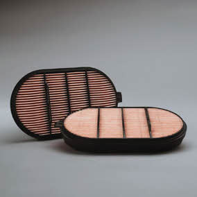 Donaldson P601560 Air filter P601560: Buy near me in Poland at 2407.PL - Good price!