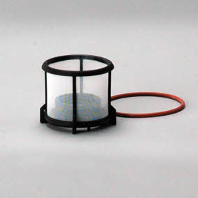 Donaldson P551062 Fuel filter P551062: Buy near me in Poland at 2407.PL - Good price!