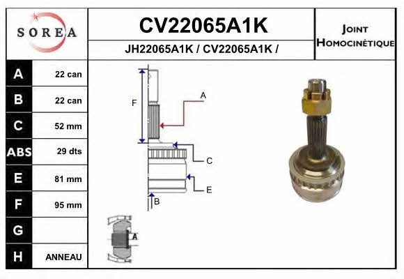 EAI CV22065A1K Шарнір рівних кутових швидкостей (ШРКШ) CV22065A1K: Купити у Польщі - Добра ціна на 2407.PL!