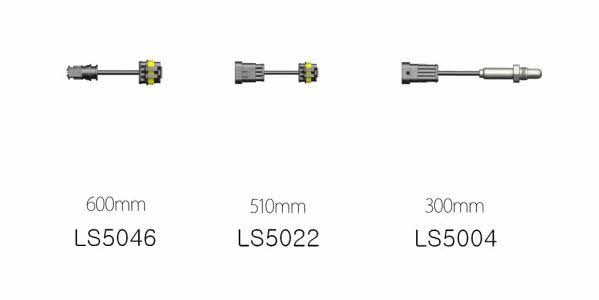 EEC LSK015 Lambda sensor LSK015: Buy near me in Poland at 2407.PL - Good price!
