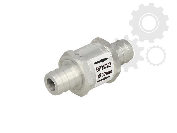 Engitech ENT250123 Injection pump valve ENT250123: Buy near me in Poland at 2407.PL - Good price!