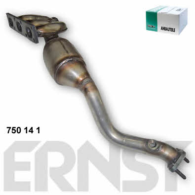 Ernst 750141 Catalytic Converter 750141: Buy near me in Poland at 2407.PL - Good price!