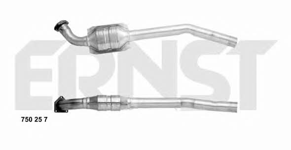 Ernst 750257 Catalytic Converter 750257: Buy near me in Poland at 2407.PL - Good price!