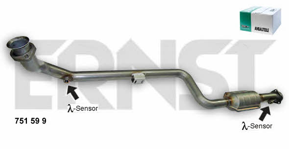 Ernst 751599 Catalytic Converter 751599: Buy near me in Poland at 2407.PL - Good price!