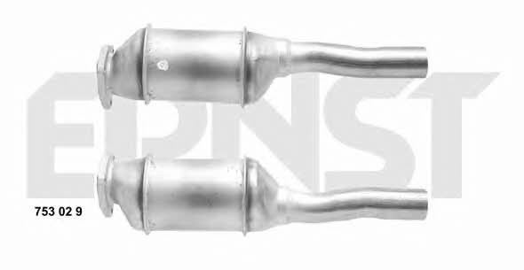 Ernst 753029 Catalytic Converter 753029: Buy near me in Poland at 2407.PL - Good price!