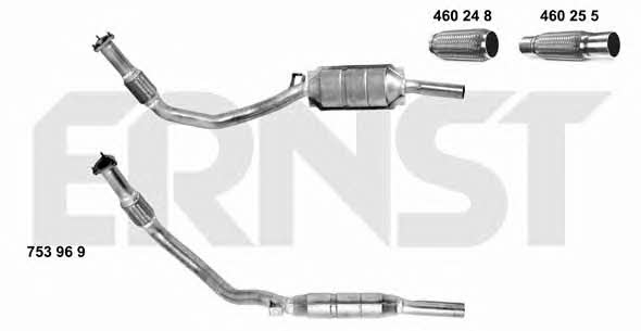 Ernst 753969 Catalytic Converter 753969: Buy near me in Poland at 2407.PL - Good price!