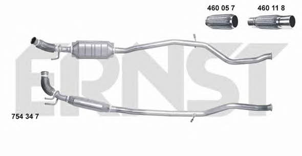Ernst 754347 Катализатор 754347: Отличная цена - Купить в Польше на 2407.PL!