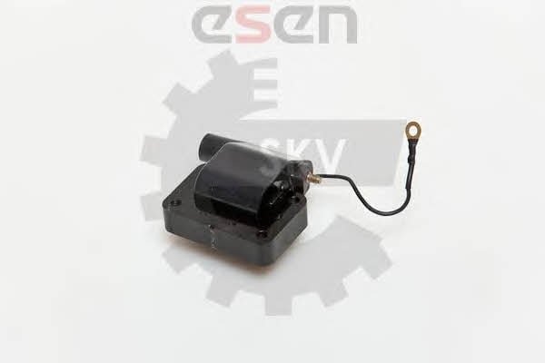 Esen SKV 03SKV162 Ignition coil 03SKV162: Buy near me in Poland at 2407.PL - Good price!