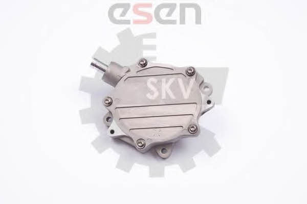 Esen SKV 18SKV015 Vacuum pump 18SKV015: Buy near me in Poland at 2407.PL - Good price!