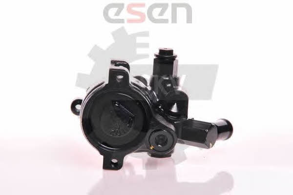 Esen SKV 10SKV179 Hydraulic Pump, steering system 10SKV179: Buy near me in Poland at 2407.PL - Good price!