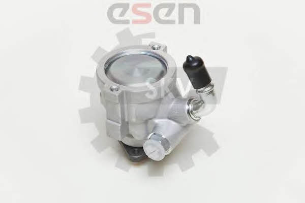 Esen SKV 10SKV061 Hydraulic Pump, steering system 10SKV061: Buy near me at 2407.PL in Poland at an Affordable price!