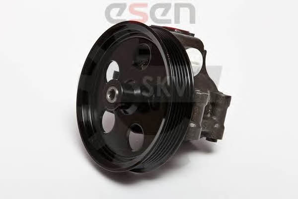 Esen SKV 10SKV067 Hydraulic Pump, steering system 10SKV067: Buy near me in Poland at 2407.PL - Good price!