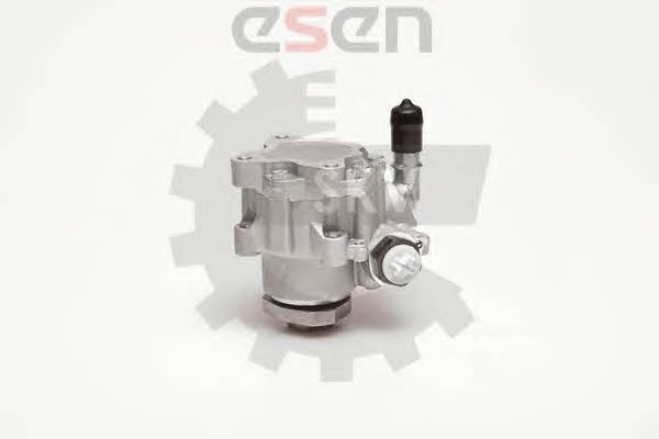 Esen SKV 10SKV110 Hydraulic Pump, steering system 10SKV110: Buy near me in Poland at 2407.PL - Good price!