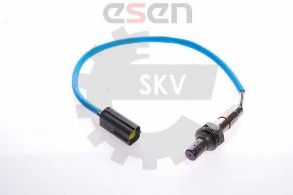 Buy Esen SKV 09SKV001 at a low price in Poland!