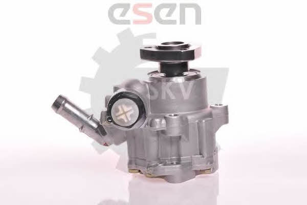 Esen SKV 10SKV173 Hydraulic Pump, steering system 10SKV173: Buy near me in Poland at 2407.PL - Good price!