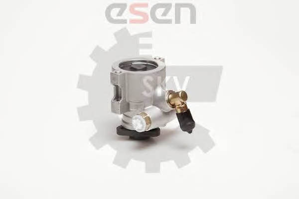Esen SKV 10SKV053 Hydraulic Pump, steering system 10SKV053: Buy near me in Poland at 2407.PL - Good price!