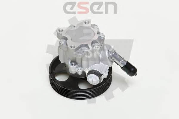 Esen SKV 10SKV060 Hydraulic Pump, steering system 10SKV060: Buy near me in Poland at 2407.PL - Good price!