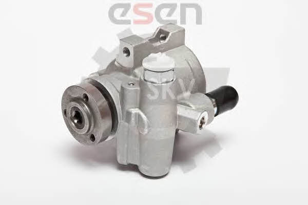 Esen SKV 10SKV089 Hydraulic Pump, steering system 10SKV089: Buy near me in Poland at 2407.PL - Good price!