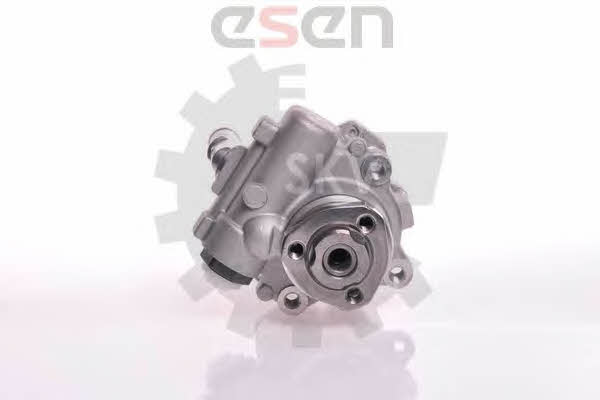 Esen SKV 10SKV166 Hydraulic Pump, steering system 10SKV166: Buy near me in Poland at 2407.PL - Good price!