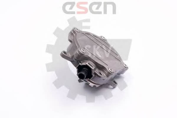Esen SKV 18SKV017 Vacuum pump 18SKV017: Buy near me in Poland at 2407.PL - Good price!