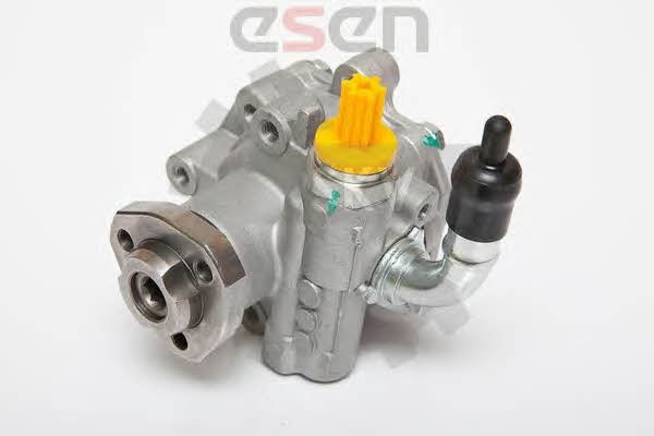 Esen SKV 10SKV182 Hydraulic Pump, steering system 10SKV182: Buy near me in Poland at 2407.PL - Good price!