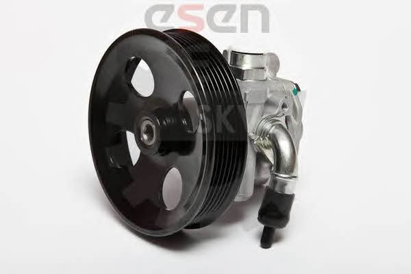 Esen SKV 10SKV006 Hydraulic Pump, steering system 10SKV006: Buy near me in Poland at 2407.PL - Good price!