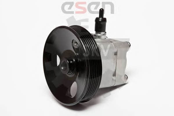 Esen SKV 10SKV010 Hydraulic Pump, steering system 10SKV010: Buy near me in Poland at 2407.PL - Good price!